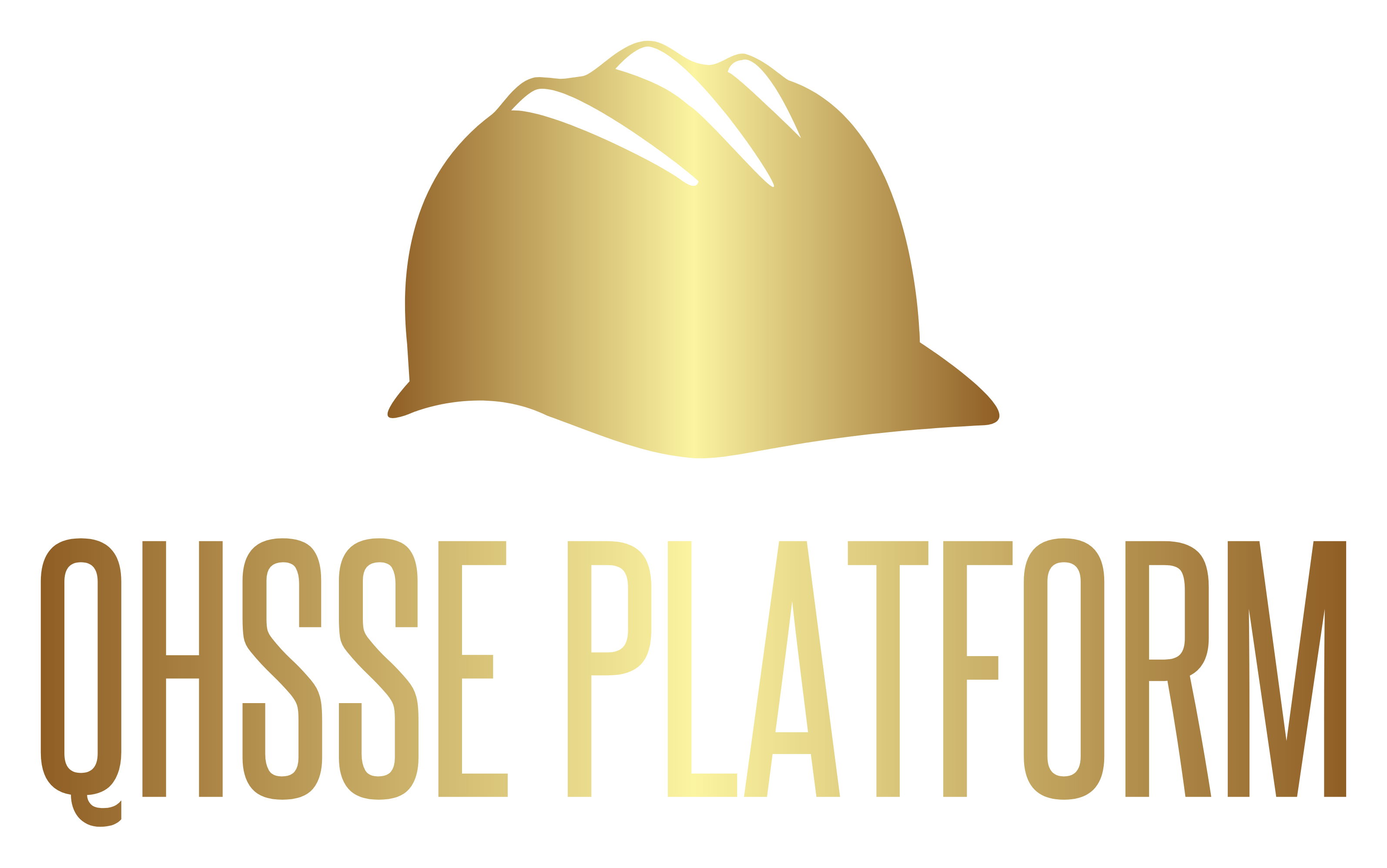 QHSSE Platform