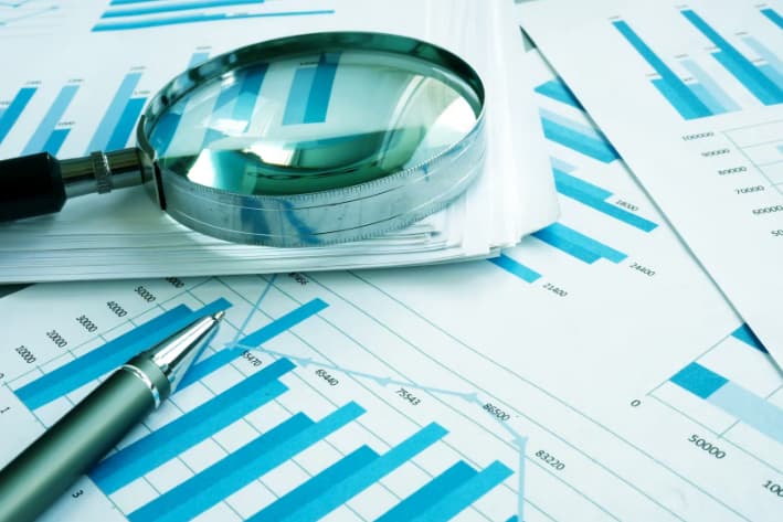 What is Assessment Audit Service?