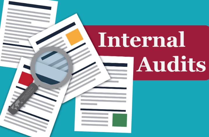 What are internal audits?